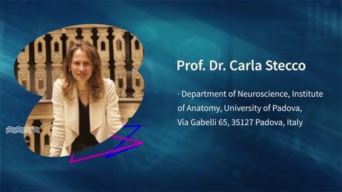 Fascia and Myofascial Pain | Interview with Prof. Dr. Carla Stecco