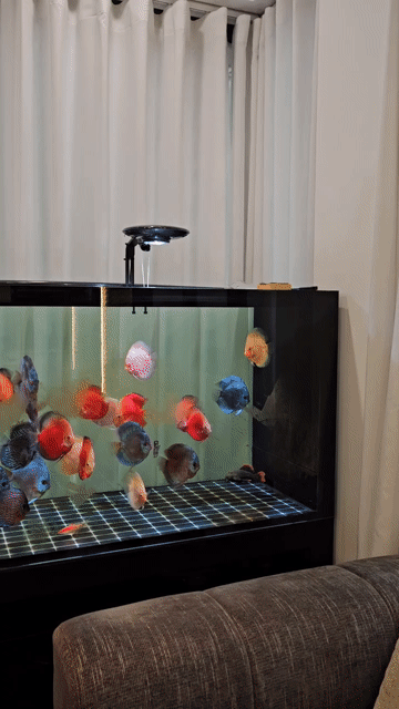 Mua bán Nhà ở Quận Long Biên Hà Nội diện tích 78 m² giá 23,3 tỷ
