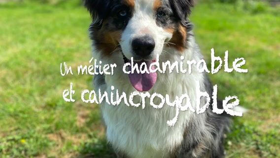 Un métier chadmirable et canincroyable