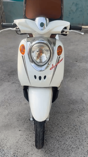 Yamaha Classico màu Trắng. Mua bán Xe máy tại Quận Bình Tân Tp Hồ Chí Minh được đăng bởi Lạc Giữa Chợ hình 1