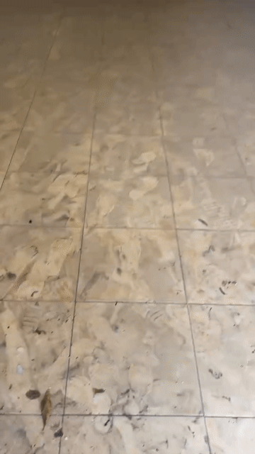 Cho thuê Nhà ở Quận 8 Tp Hồ Chí Minh diện tích 112 m² giá 16 triệu/tháng