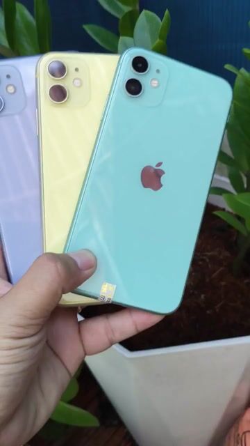 Apple iPhone 11 Vàng, Xanh, Tím Đã sử dụng. Mua bán Điện thoại tại Thành phố Thủ Đức Tp Hồ Chí Minh được đăng bởi Nam khang store hình 1