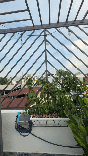 Mua bán Nhà ở Quận Tân Phú Tp Hồ Chí Minh diện tích 16.5 m² giá 3,65 tỷ