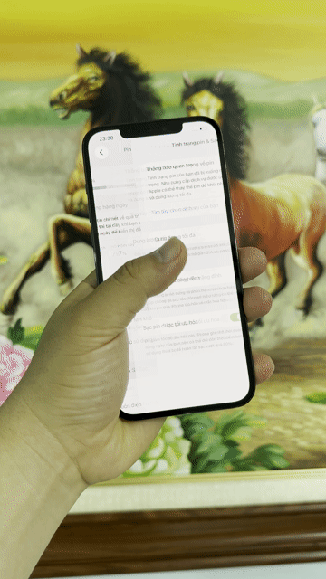 iPhone 12 Promax 128gb qte zin áp. Mua bán Điện thoại tại Thành phố Nam Định Nam Định được đăng bởi Trí Dũng Store hình 1