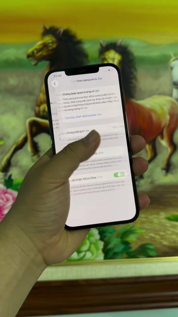iPhone 12 Promax 128gb qte zin áp. Mua bán Điện thoại tại Thành phố Nam Định Nam Định được đăng bởi Trí Dũng Store hình 1