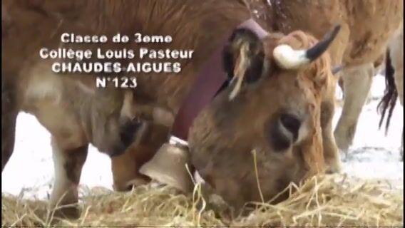 Dragonne, Championne ...