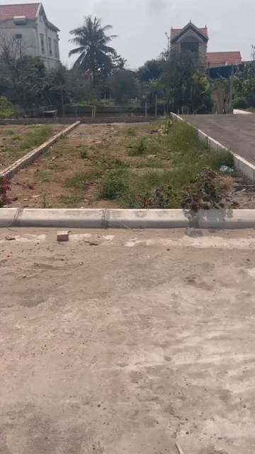 Mua bán Đất Huyện Hải Hậu Nam Định diện tích 90 m² giá 1,5 tỷ
