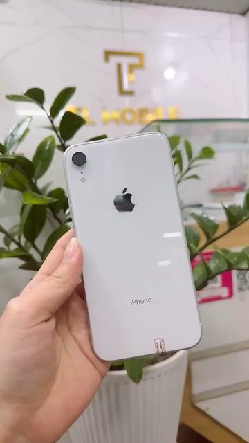 Apple iPhone XR 32GB Trắng Đã dùng. Mua bán Điện thoại tại Thành phố Huế Thừa Thiên Huế được đăng bởi TL mobile 179 bùi thị xuân  huế hình 1