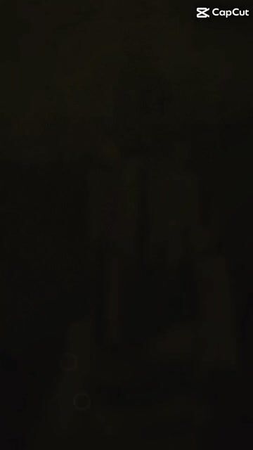 Dầu dừa ép lạnh tinh khiết, nguyên chất. Mua bán Đồ ăn, thực phẩm và các loại khác tại Thành phố Bến Tre Bến Tre được đăng bởi Ngọc Hà hình 1