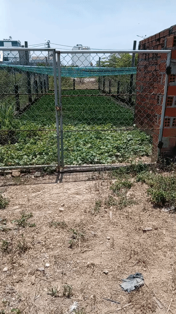 Mua bán Đất Thị xã An Nhơn Bình Định diện tích 100 m² giá 1,28 tỷ
