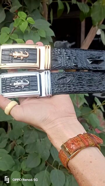 Dây lưng liền gai da cá sấu 4cm sale đại lễ. Mua bán Phụ kiện thời trang khác tại Huyện An Phú An Giang được đăng bởi THẮNG ĐỒ DA hình 1