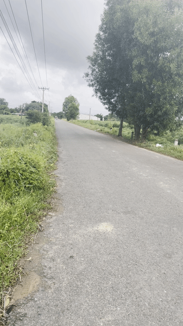 Mua bán Đất Huyện Bến Cầu Tây Ninh diện tích 800 m² giá 2,3 tỷ