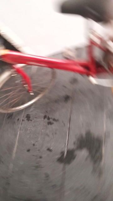 Xe đạp Briestone Albert khung nhôm Nhật bãi. Mua bán Xe đạp tại Quận Bình Tân Tp Hồ Chí Minh được đăng bởi Thang hình 1