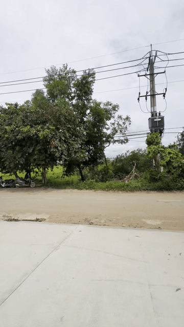 Mua bán Đất Huyện Hóc Môn Tp Hồ Chí Minh diện tích 134 m² giá 3,6 tỷ