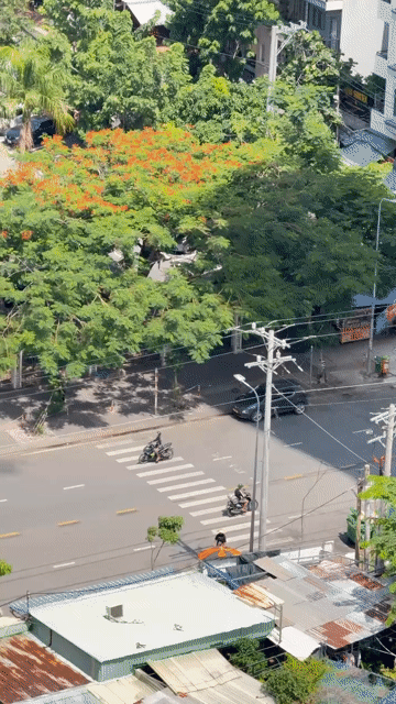 Mua bán Căn hộ Chung cư Topaz City Quận 8 Tp Hồ Chí Minh diện tích 70 m² giá 3,5 tỷ