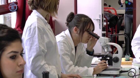 Le BAC technologique STL au lycée Paul Langevin de Beauvais.