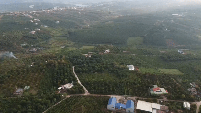 Mua bán Đất Huyện Di Linh Lâm Đồng diện tích 280 m² giá 550 triệu