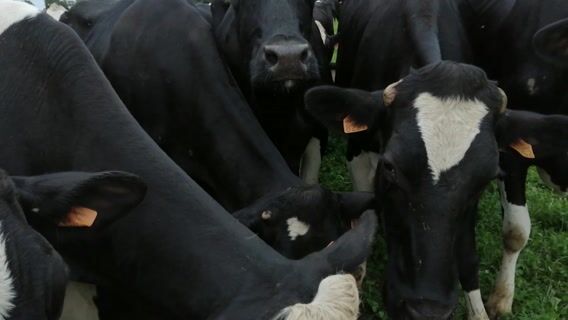 Hier, aujourd'hui, demain