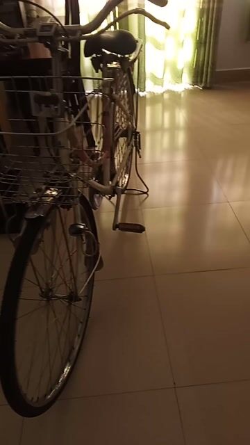 Xe đạp Shimano Trâu Nhật Inox. Mua bán Xe đạp tại Thành phố Thủ Đức Tp Hồ Chí Minh được đăng bởi Trần Quang Chiến hình 1