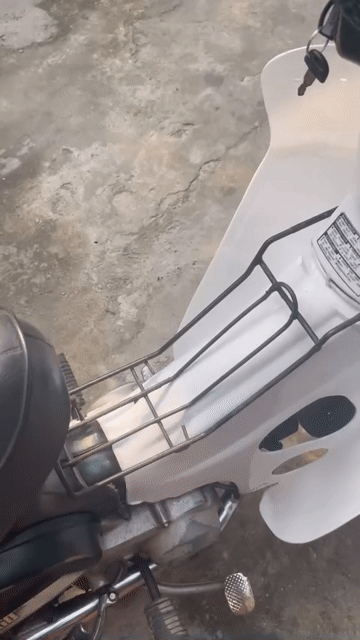 Cub 81 - 89 Honda Nhật Bản 50cc biển số Hà Nội 29. Mua bán Xe máy tại Huyện Thanh Trì Hà Nội được đăng bởi Theo Số hình 1
