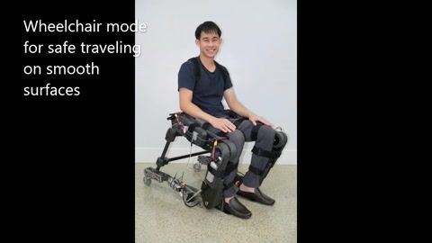Transformable Wheelchair–Exoskeleton Hybrid Robot