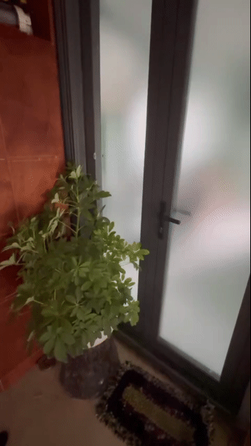 Mua bán Căn hộ Chung cư Quận 11 Tp Hồ Chí Minh diện tích 80 m² giá 3,05 tỷ