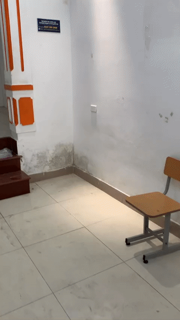 Cho thuê Văn phòng, Mặt bằng kinh doanh Quận Thanh Xuân Hà Nội diện tích 50 m² giá 9 triệu/tháng