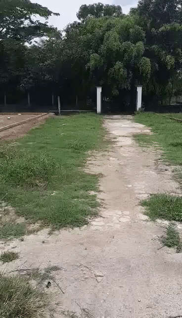 Mua bán Đất Huyện Đức Hòa Long An diện tích 142 m² giá 1,25 tỷ