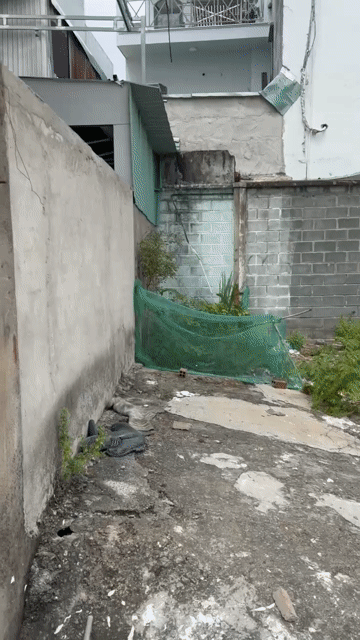 Cho thuê Đất Quận 12 Tp Hồ Chí Minh diện tích 1300 m² giá 65 triệu/tháng