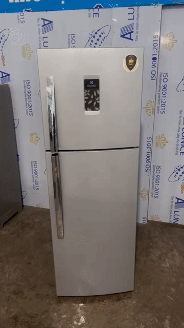 Tủ lạnh Electrolux 254 lít Khử mùi Bạc. Mua bán Tủ lạnh tại Huyện An Dương Hải Phòng được đăng bởi ĐIỆN MÁY MINH THÁI PHÁT  hình 1