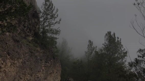 Ma carrière de réalisateur