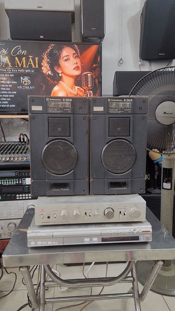 Dàn âm thanh Pioneer A-2050 S-30B Nâu Bạc. Mua bán Tivi, Âm thanh tại Quận 10 Tp Hồ Chí Minh được đăng bởi Phạm Phú Lộc hình 1