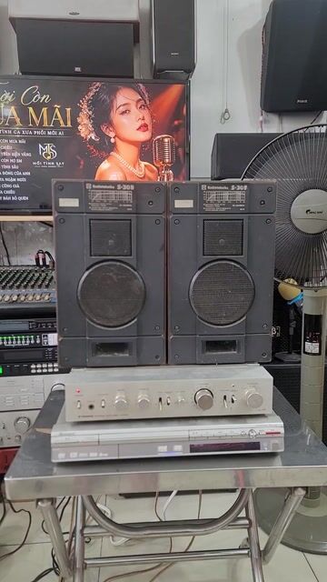 Dàn âm thanh Pioneer A-2050 S-30B Nâu Bạc. Mua bán Tivi, Âm thanh tại Quận 10 Tp Hồ Chí Minh được đăng bởi Phạm Phú Lộc hình 1