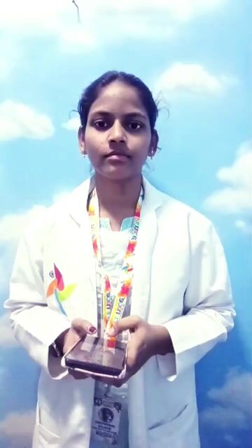 Pinnacle-Blooms-Network-4d2518166c204beebecbbf5bf71fa68c