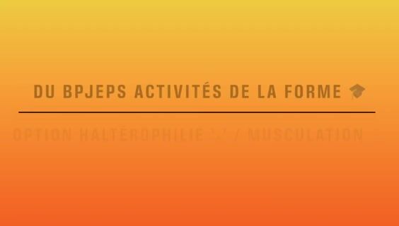 "Comment devenir Coach Sportif ?" | BPJEPS AF - Option Haltérophilie/Musculation