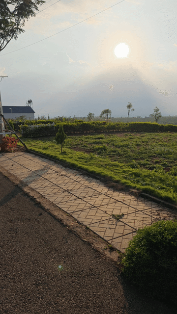 Mua bán Đất Huyện Di Linh Lâm Đồng diện tích 342 m² giá 350 triệu