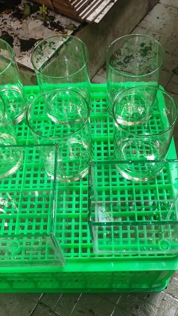 Hồ cá thủy tinh để bàn. Mua bán Phụ kiện, Thức ăn, Dịch vụ tại Quận 3 Tp Hồ Chí Minh được đăng bởi Phutrieuty hình 1