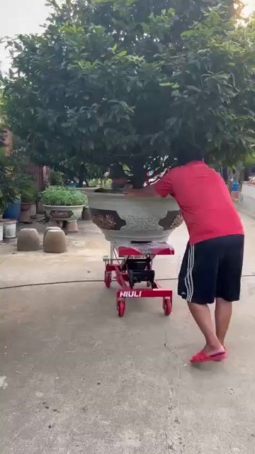 Xe nâng mặt bàn 500kg NịuLi. Mua bán Phương tiện khác tại Thành phố Vĩnh Long Vĩnh Long được đăng bởi Quang Tuyến hình 1