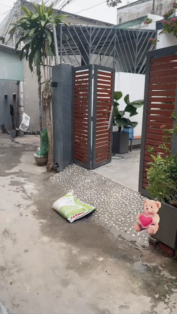 Mua bán Nhà ở Thành phố Thuận An Bình Dương diện tích 65 m² giá 3,28 tỷ