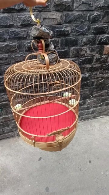 Lồng Chim Đủ Phụ kiện