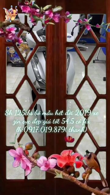 Honda SH 125 CBS 2019 Trắng. Mua bán Xe máy tại Thành phố Vũng Tàu Bà Rịa - Vũng Tàu được đăng bởi XE MÁY BẢO THANH  TPVŨNG TÀU hình 1