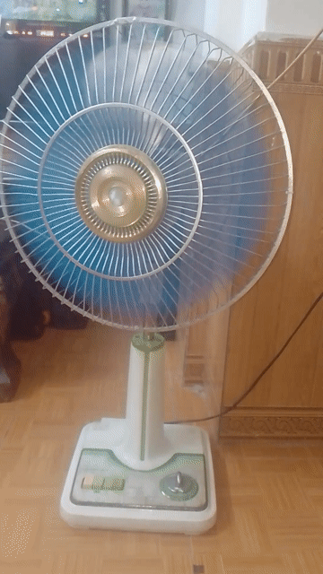 Quạt lửng Nhật 40cm đã sử dụng. Mua bán Quạt tại Quận Bắc Từ Liêm Hà Nội được đăng bởi đồ xưa hình 1