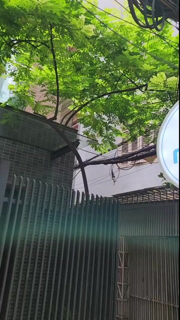 Oppo K9s 5G | Pin trâu - 120Hz, 6,6 inch. Mua bán Điện thoại tại Quận Ba Đình Hà Nội được đăng bởi ZinMobile104 Đào Tấn hình 1