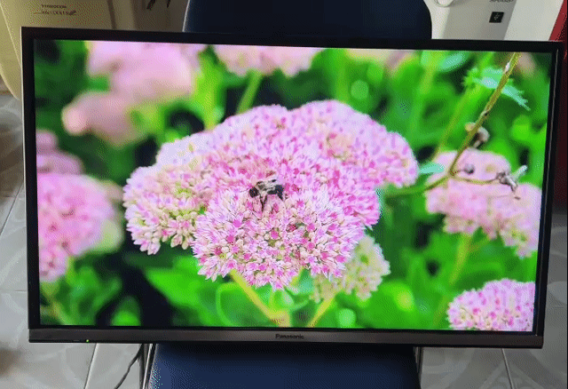 Tivi Panasonic TH-32DS500V Smart TV FPT Play. Mua bán Tivi, Âm thanh tại Huyện Hoài Đức Hà Nội được đăng bởi Đồ Cũ DK hình 1