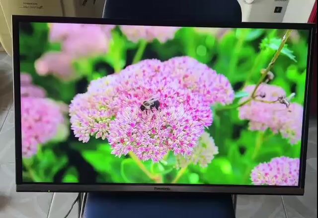 Tivi Panasonic TH-32DS500V Smart TV FPT Play. Mua bán Tivi, Âm thanh tại Huyện Hoài Đức Hà Nội được đăng bởi Đồ Cũ DK hình 1