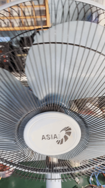 Quạt đứng ASIA Xanh ( BH 3 tháng ). Mua bán Quạt tại Quận Tân Bình Tp Hồ Chí Minh được đăng bởi sữa chữa mua bán Điện tử điện gia dụng  hình 1