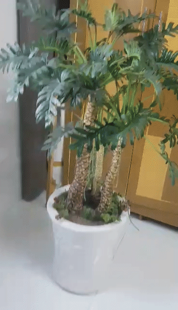 Thanh lý chậu cây xanh giả nhựa lõi thép cao 1m5. Mua bán Cây cảnh, đồ trang trí tại Huyện Cần Giuộc Long An được đăng bởi An Triệu hình 1