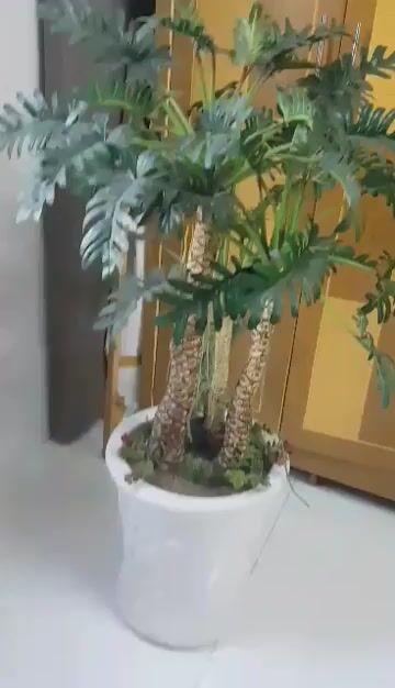 Thanh lý chậu cây xanh giả nhựa lõi thép cao 1m5. Mua bán Cây cảnh, đồ trang trí tại Huyện Cần Giuộc Long An được đăng bởi An Triệu hình 1