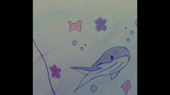 "Non mais à l'eau : cétacé!"