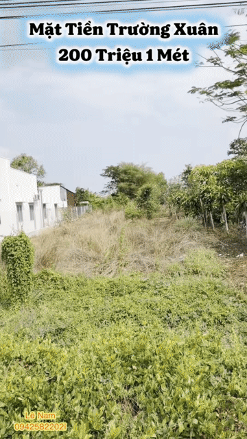 Mua bán Đất Huyện Hòa Thành Tây Ninh diện tích 245 m² giá 1 tỷ
